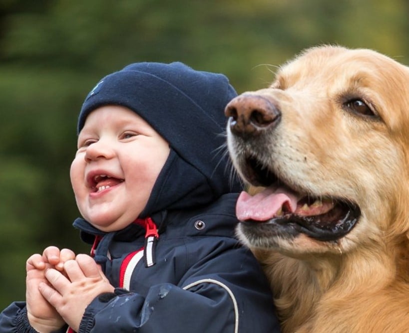 Beneficios de las mascotas para los niños