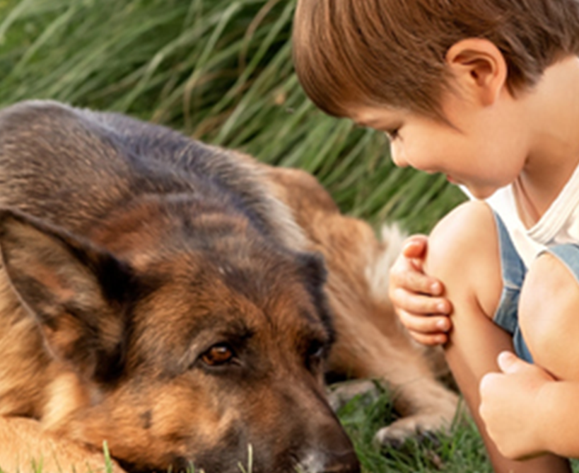 ¿Cómo ayudo a mi hijo a superar la pérdida de la mascota?